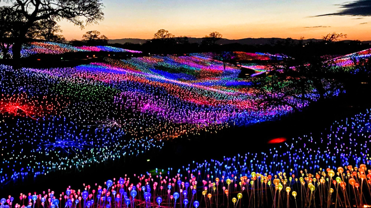 View of the illuminated colorful lights by Bruce Monro: Light at Sensorio