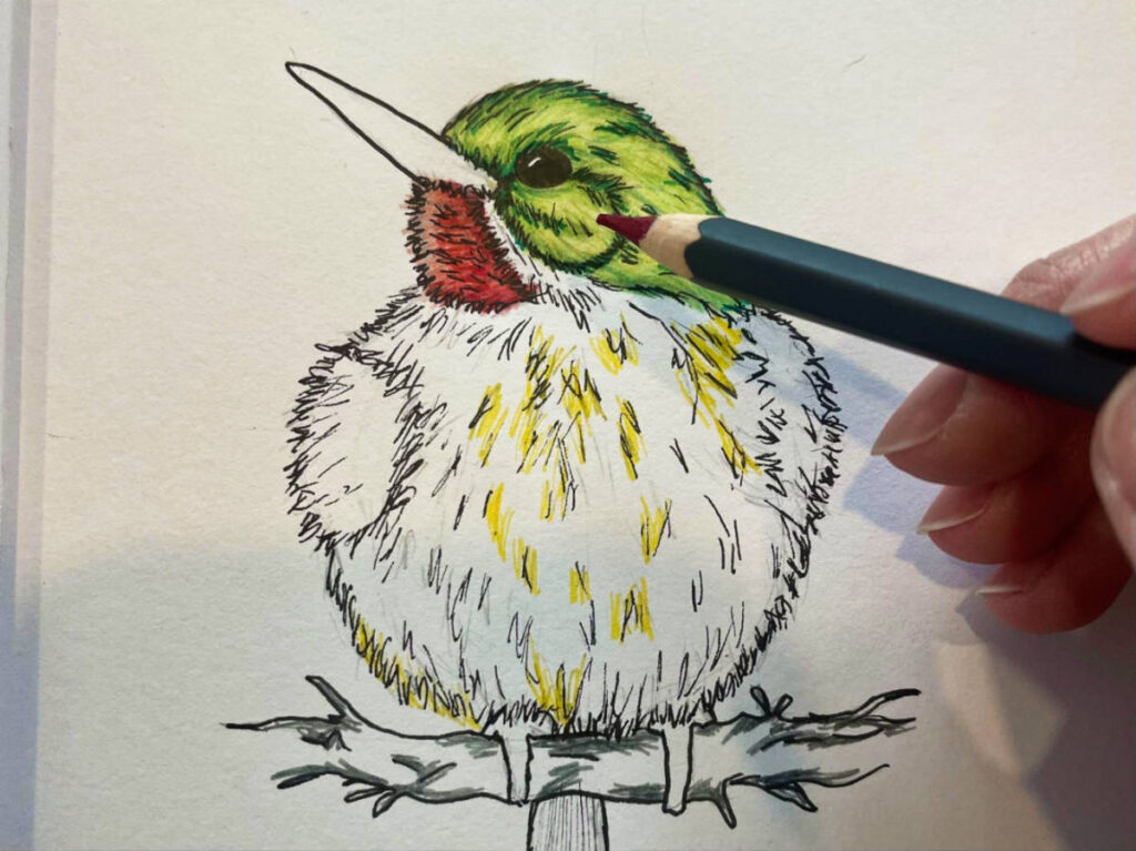 A hand coloring the drawing of a bird