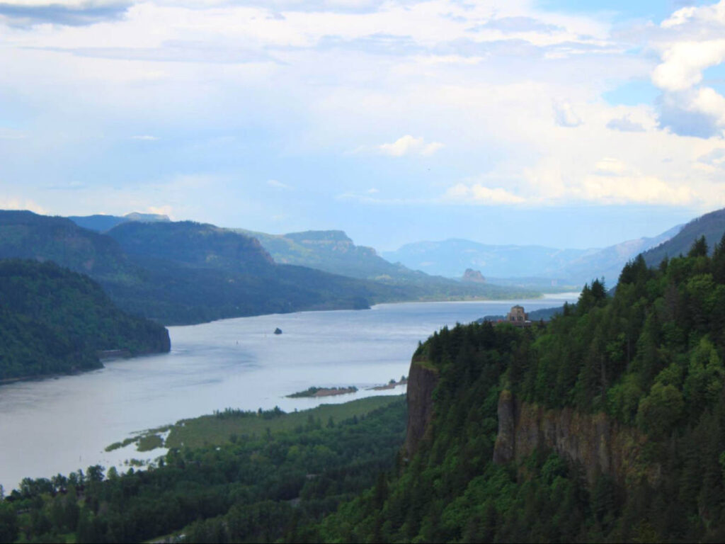 Overlooking view of the Columbia River Gorge surrounded by greenery