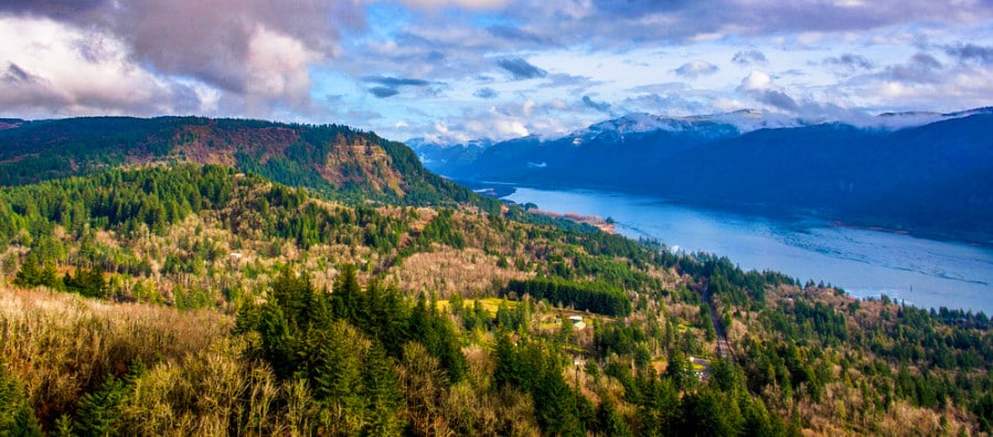 Overlooking view of the Columbia river gorge from the trail