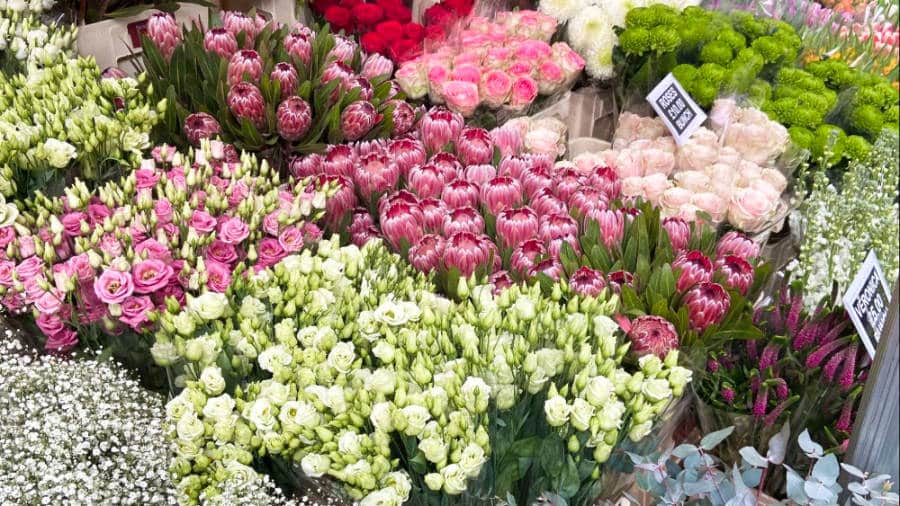 Bouquets of different flowers and plants