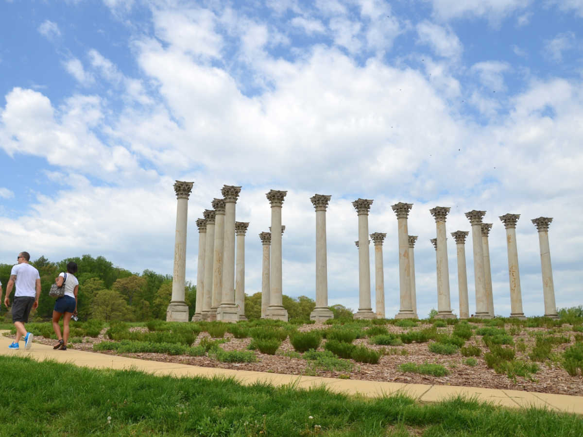 People walking near the Columns of the National Arboretum on a clear day