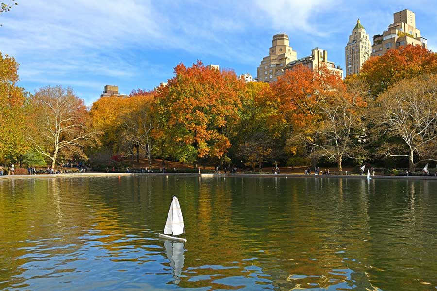 View from the Conservatory Water in Central Park