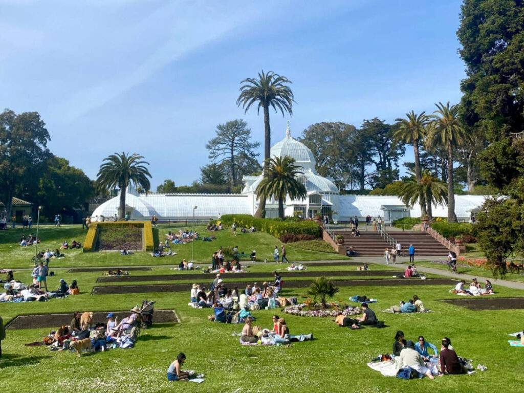 People enjoying their day at the Golden Gate Park during a sunny morning