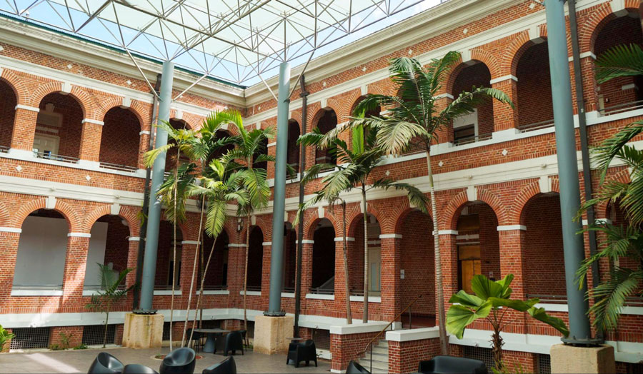 View of the Museo de Arte Contemporáneo and some trees in it