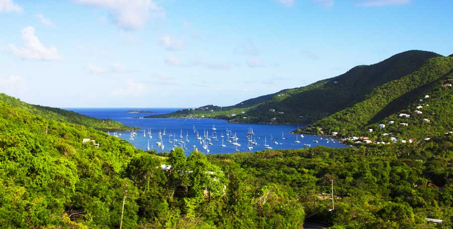 Overlooking view of the blue water in Coral Bay