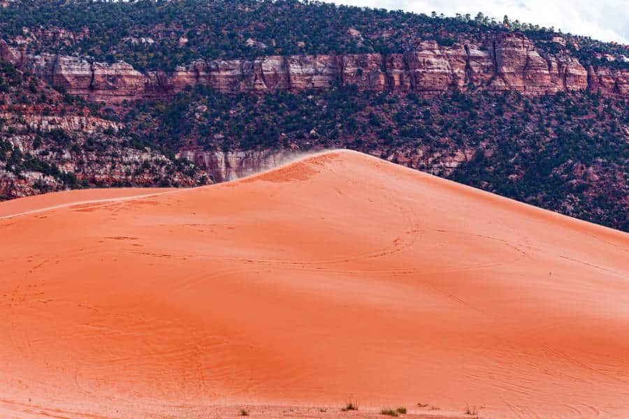 View of the large sand dune in the Coral Pink Sand Dunes State Park
