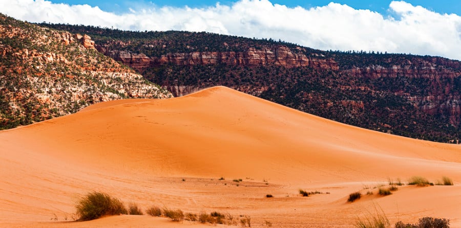 View of the large sand dune in the Coral Pink Sand Dunes State Park