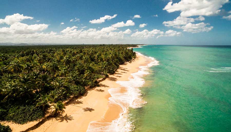 Aerial view of the Corredor Ecológico del Noreste in Luquillo