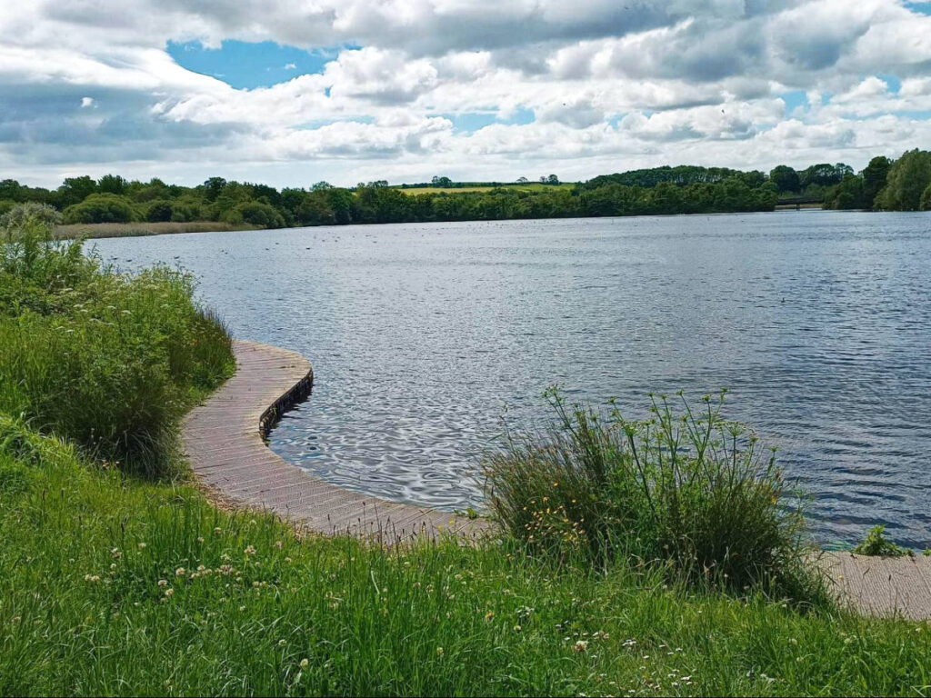 View of the greenery around the Cosmeston Lake