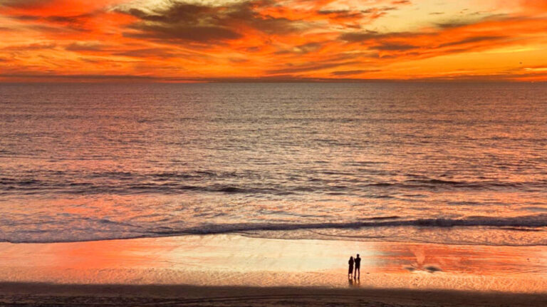 A couple watching the scenic view of the sunset over the beach