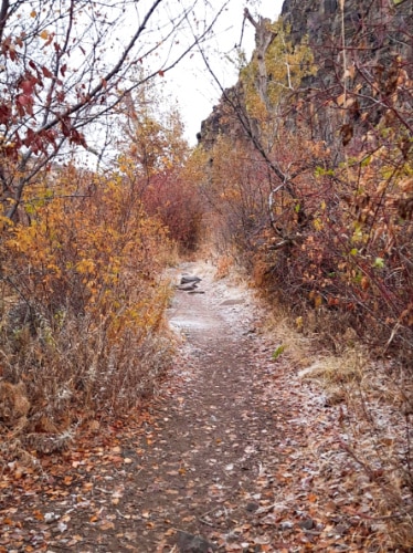 View of the fall foliage around the Cowiche Canyon Trail