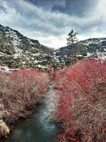View of the river flowing near the Cowiche Canyon Trail