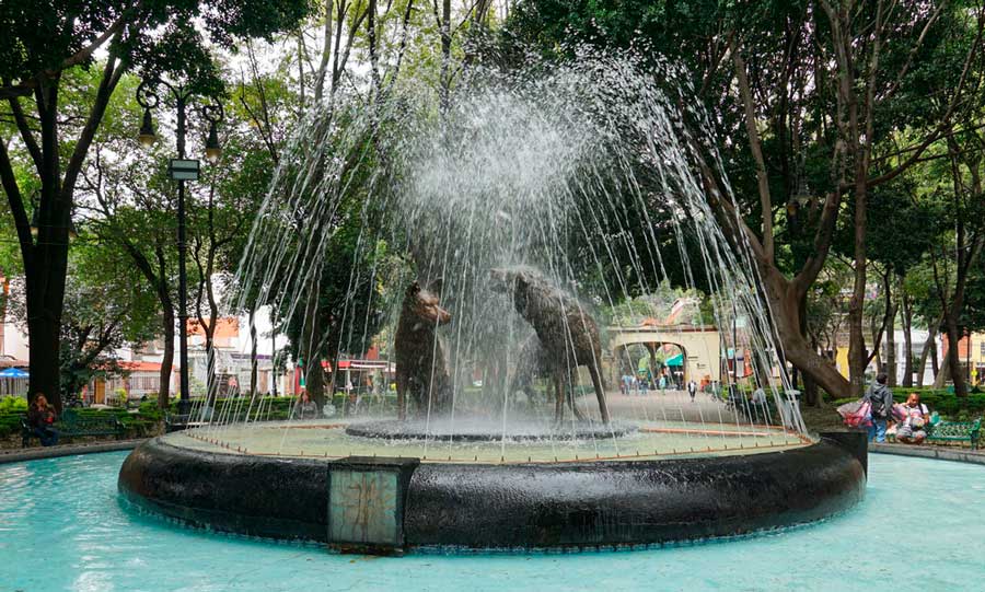 View of the Coyote Fountain in Jardin Centenario
