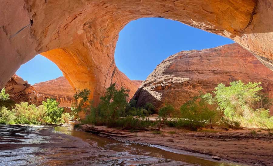 View of the arches from the bottom of Coyote Gulch