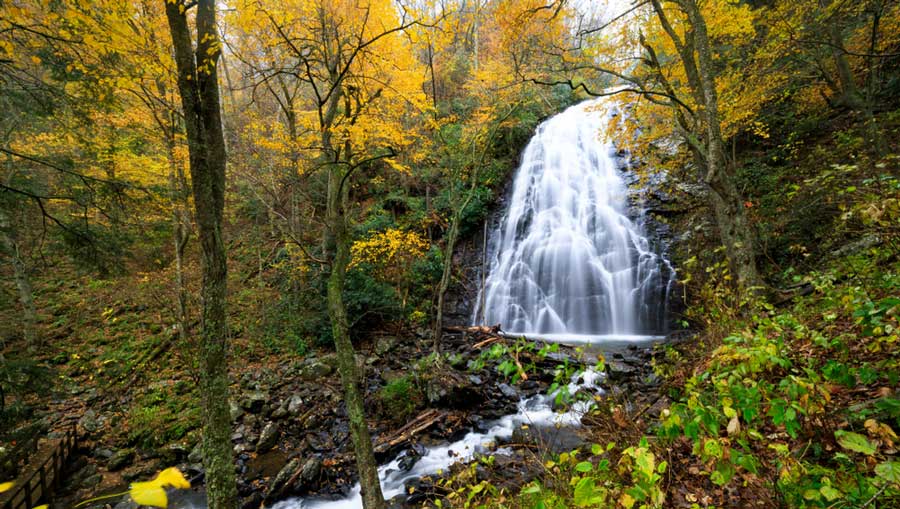 View of the fall foliage around the Crabtree Falls
