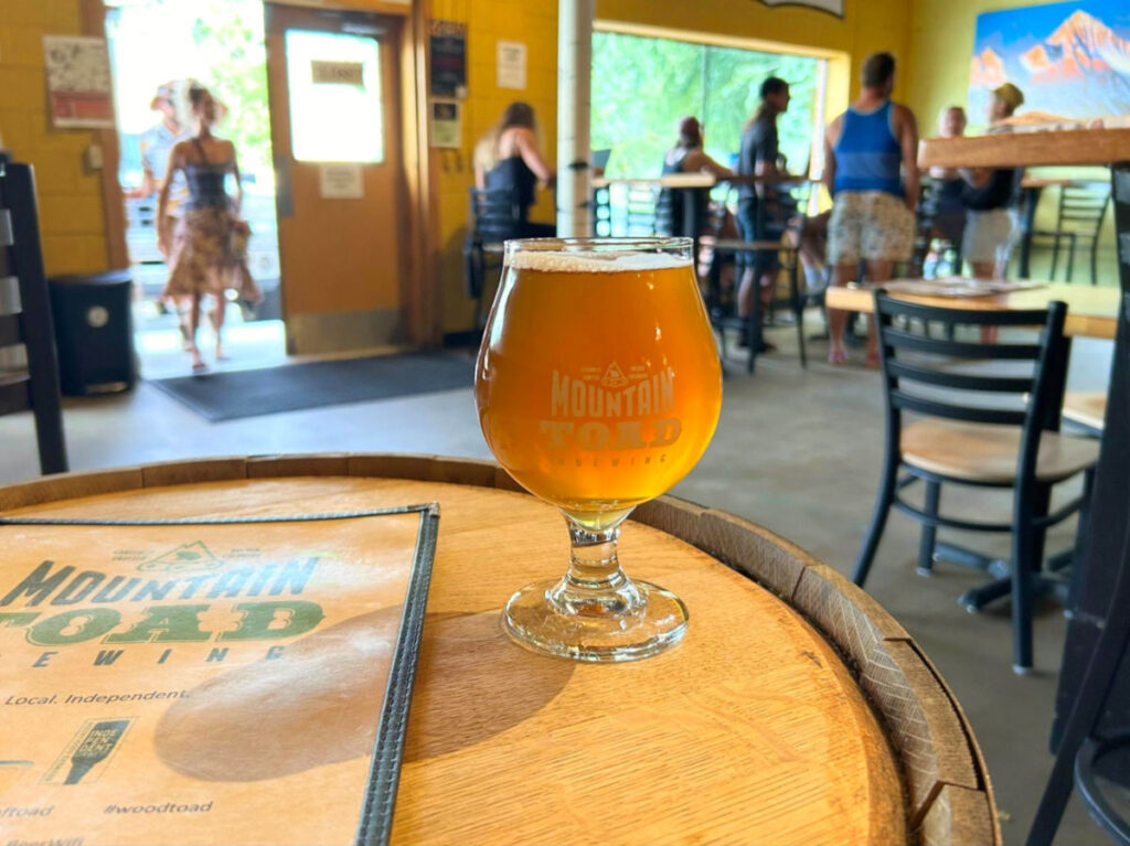 The Craft Beer at Mountain Toad Brewing with customers in the background