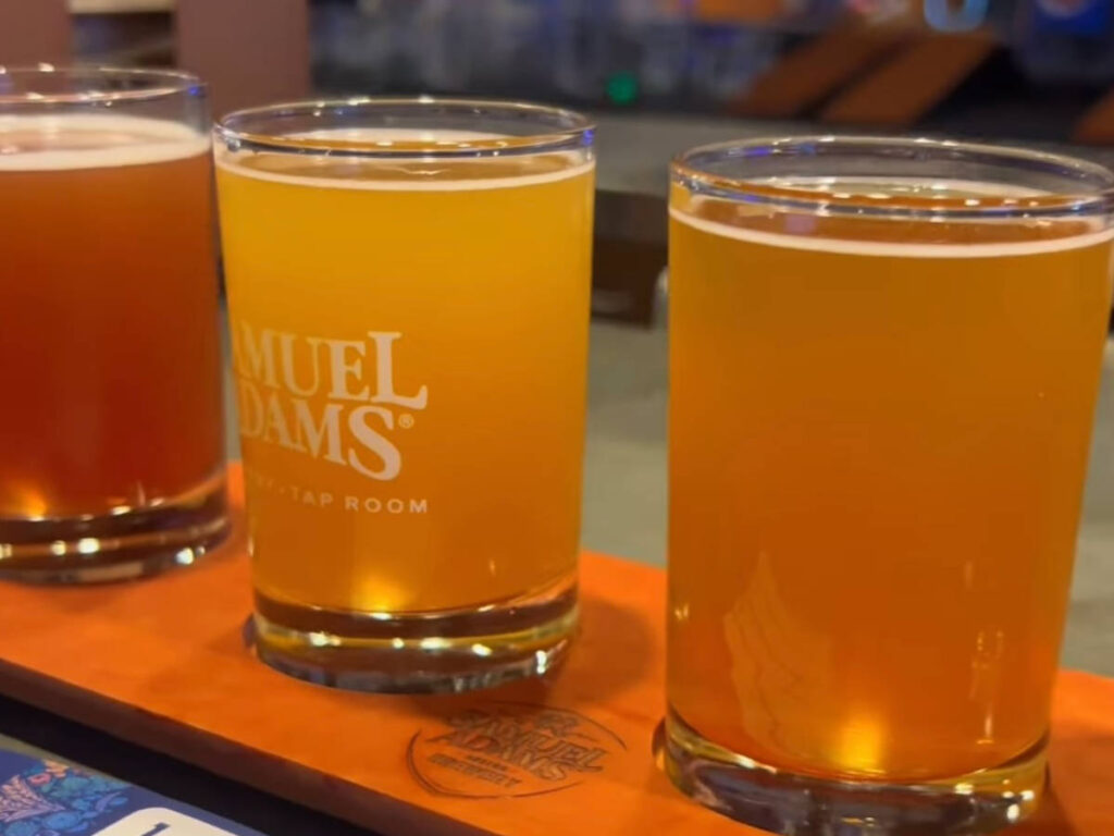 A flight of beer samples