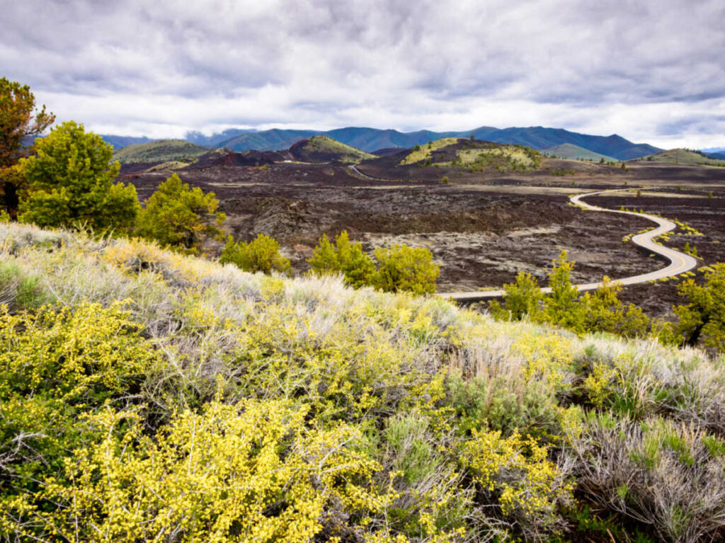 Panoramic view of the sagebrush with an overlooking view of the curved pathways at Craters of the Moon National Monument