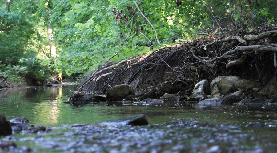A creek on a hiking trail in Elizabethtown