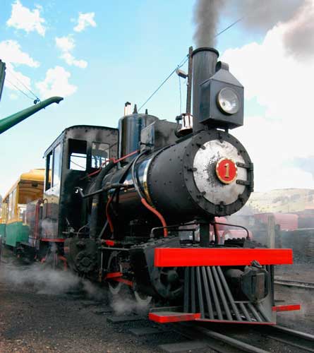 View of a narrow gauge train in Colorado