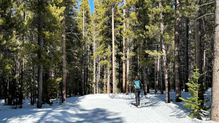 A cross-country skier at the forested area of Eldora Ski Resort