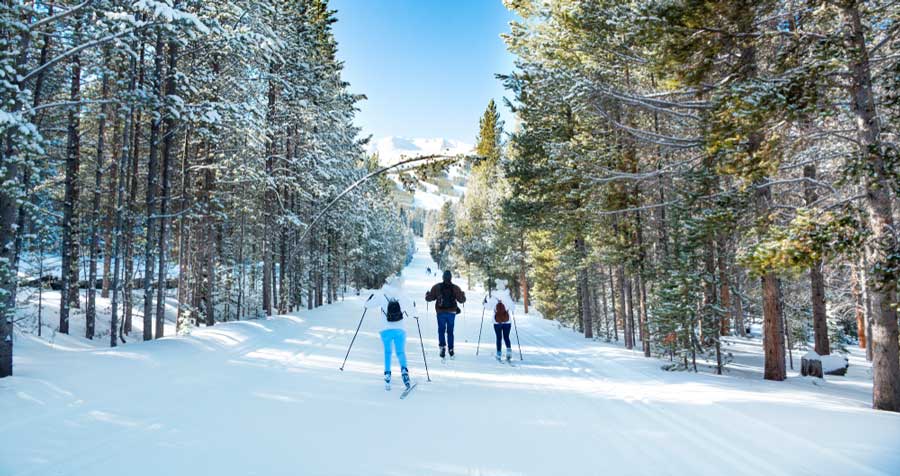 A family cross-country skiing in Breckenridge