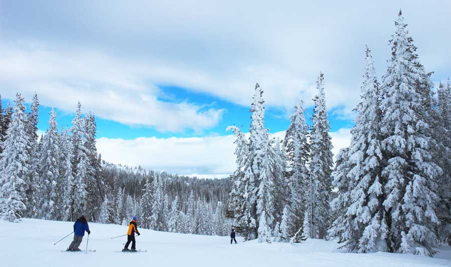 View of skiers in Cross Country Skiing