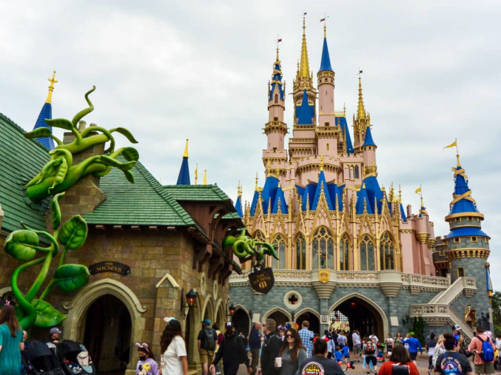 View of the crowd wandering around the Disney Castle