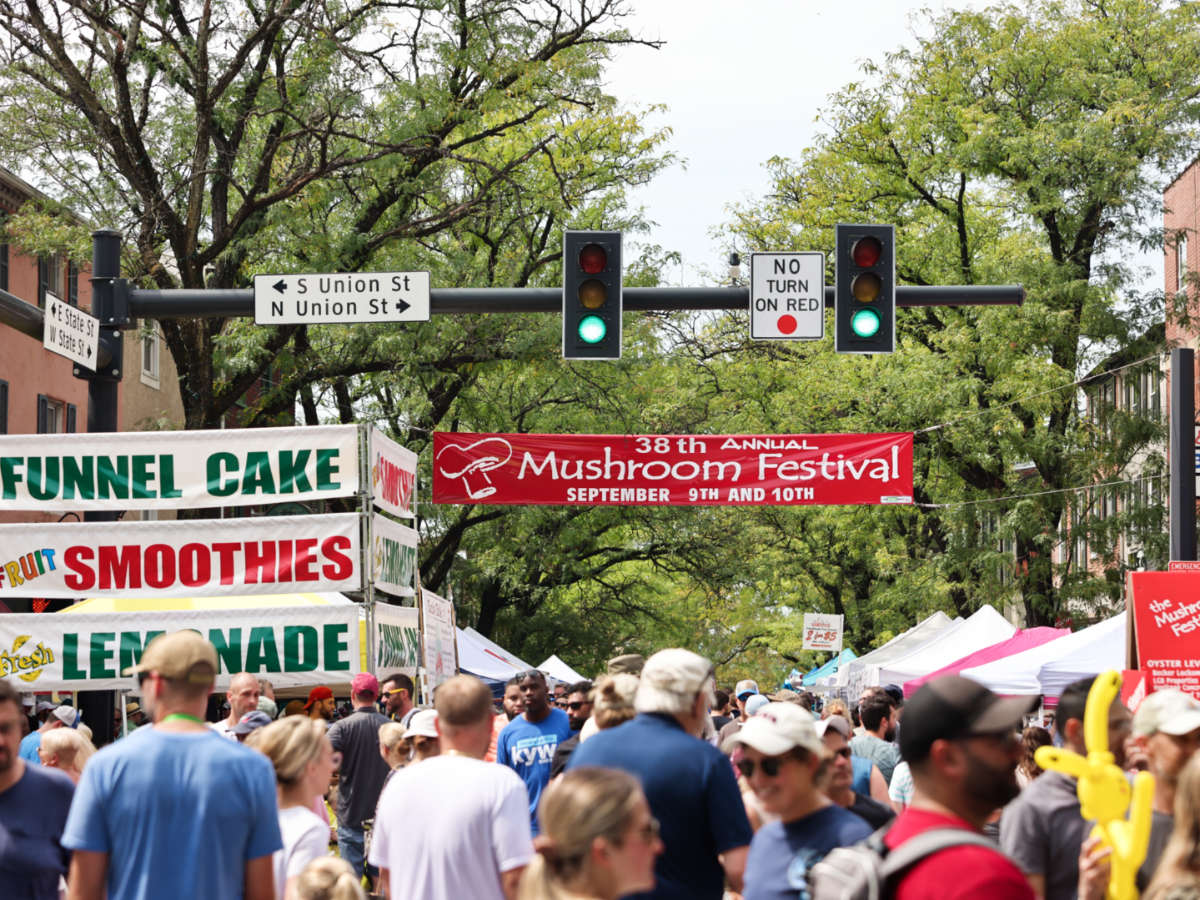 View of the crowd at The Kennett Square Mushroom Festival