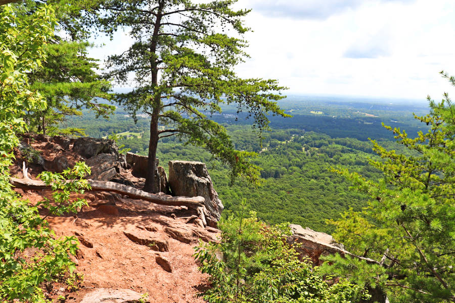 Scenic summit view from Crowders Mountain State Park
