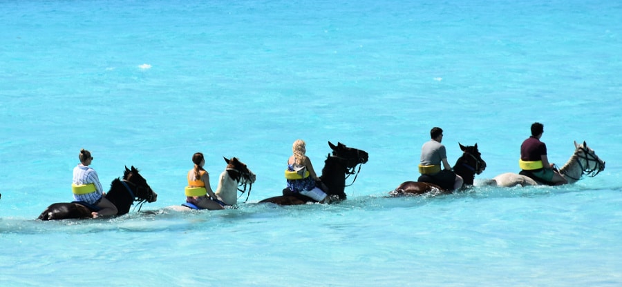 Tourists on a horseback riding tour in the ocean