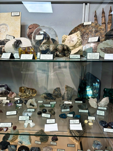 Closeup look of the crystals at Mr. Wood’s Fossils