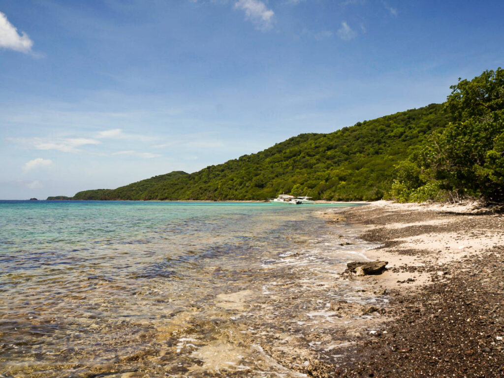 view of the lush mountain and the clear water of Carlos Rosario Beach