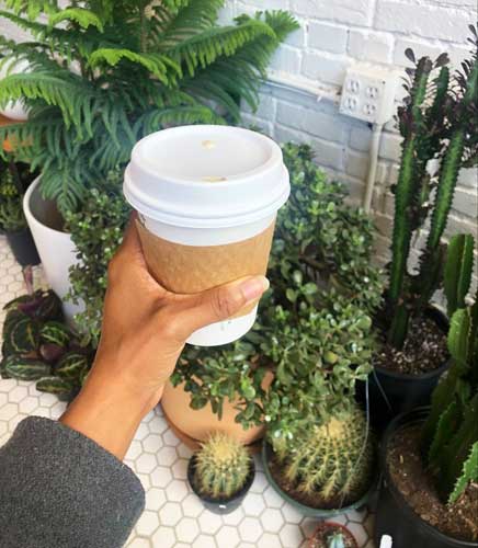 The author's hand holding a cup of coffee and some plants on its background