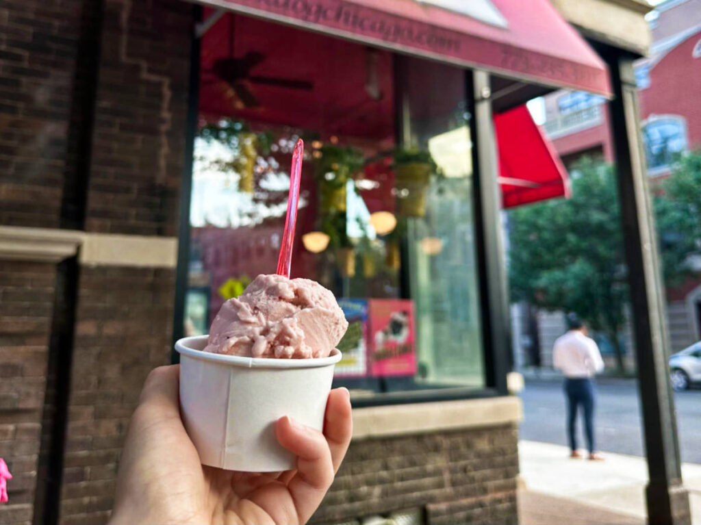 A hand holding a cup of gelato at the storefront of Black Dog