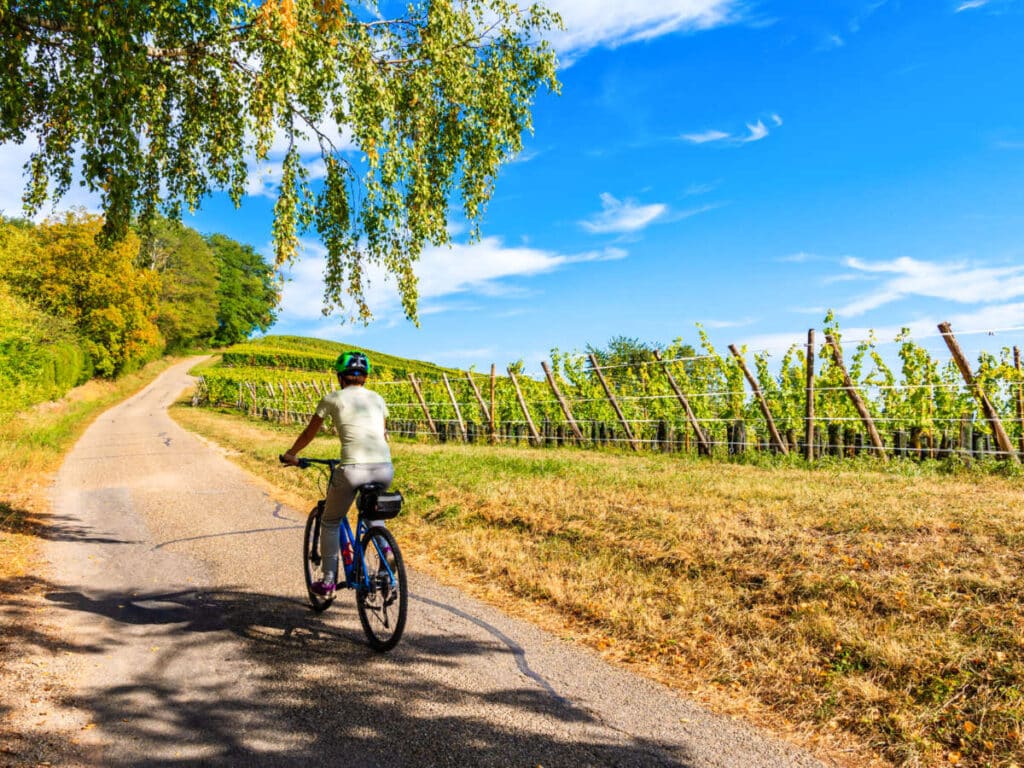 A young woman cycling along the scenic vineyard