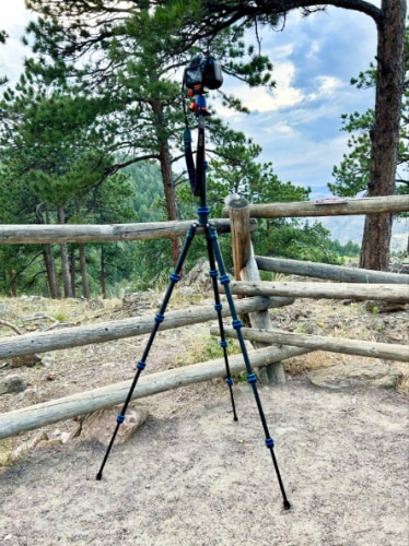 A DSLR mounted on the maximum height of 3 Legged Thing Punks Corey 2.0 Compact Travel Tripod