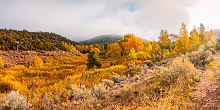 View from the Dale Ball Trails during fall season