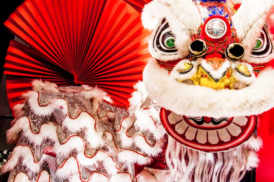 A closeup look at the Chinese lion performer