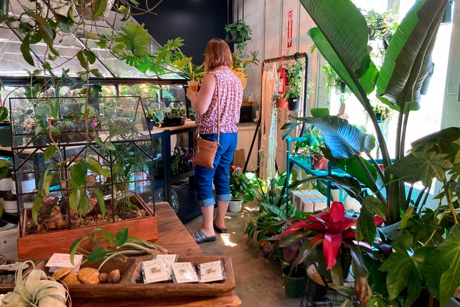 A woman looking at the plants inside the Dandy Lion Coffee Co.