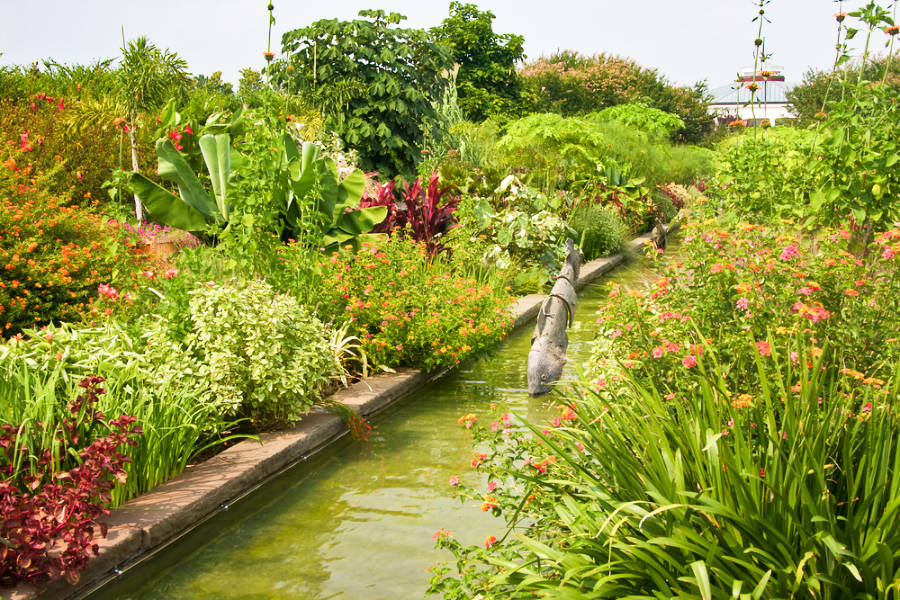 View of the blooming flowers and greenery in Daniel Stowe Botanical Garden