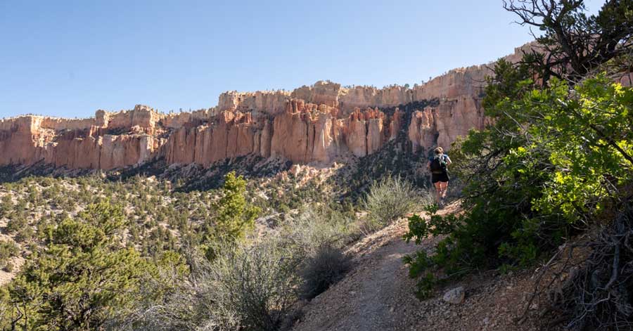 Clear blue sky over the Dark Canyon Wilderness