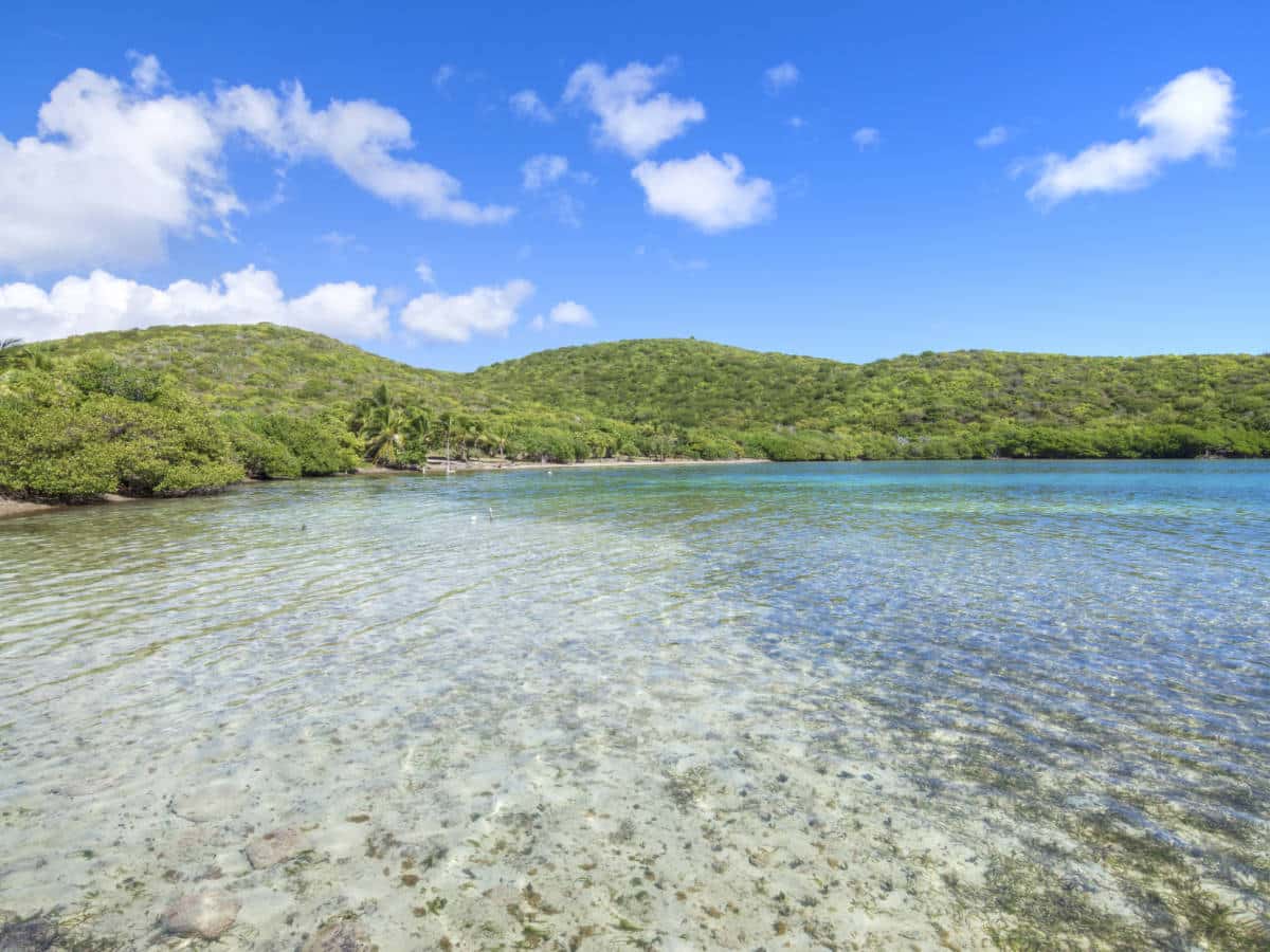 Blue sky over the clear water in Dátiles Beach