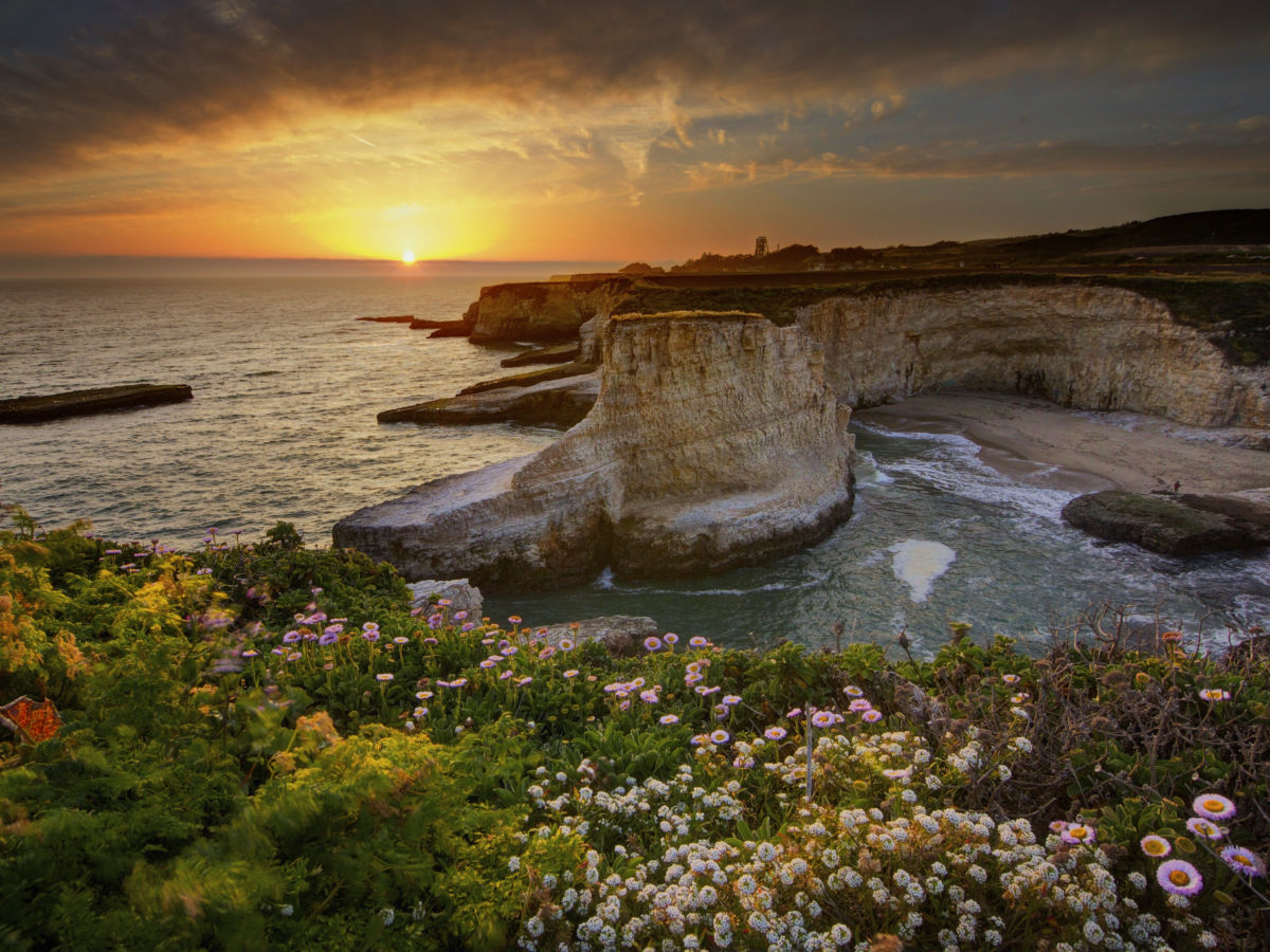 Sunset over Davenport with ocean view and wildflowers
