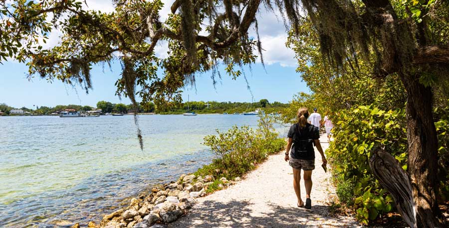 People hiking on a trail in De Soto National Forest