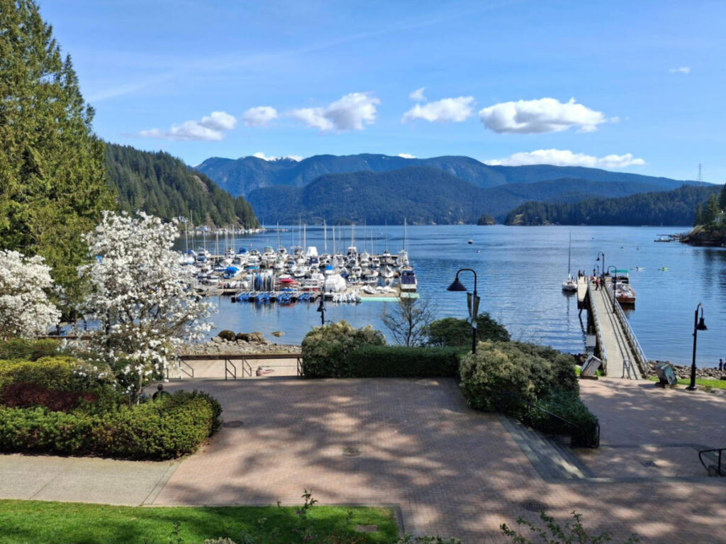 Scenic view of the mountain and lush greenery around Deep Cove