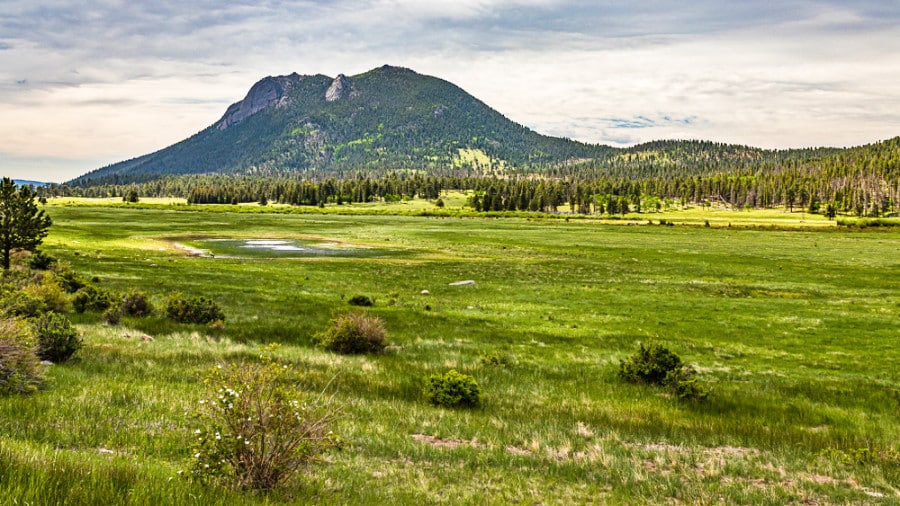 Panoramic view of the green space and the Deer Mountain in the background