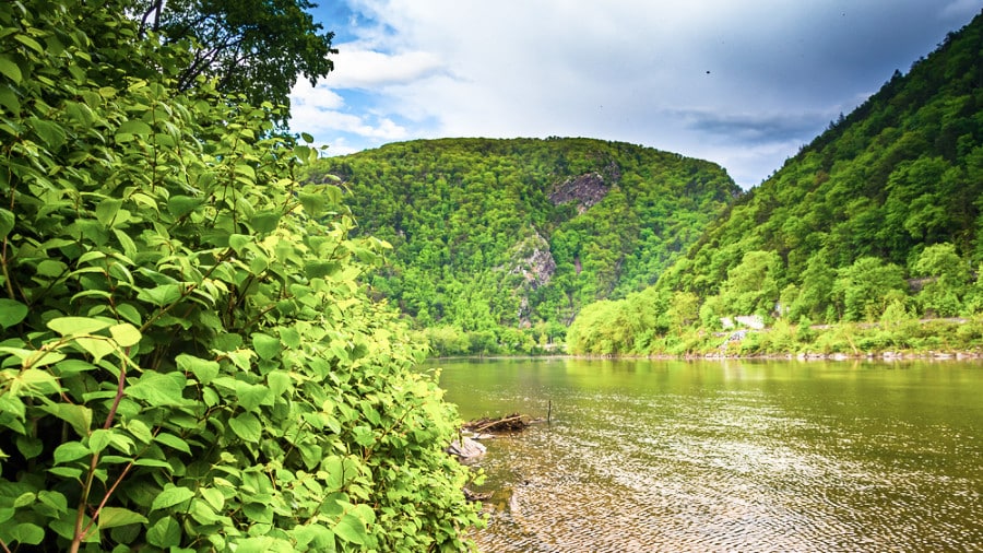 Scenic view of the lake and mountains in Delaware Water Gap