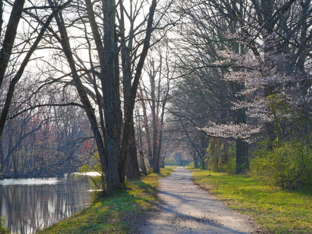 View at the Delaware and Raritan Canal State Park during a sunny morning